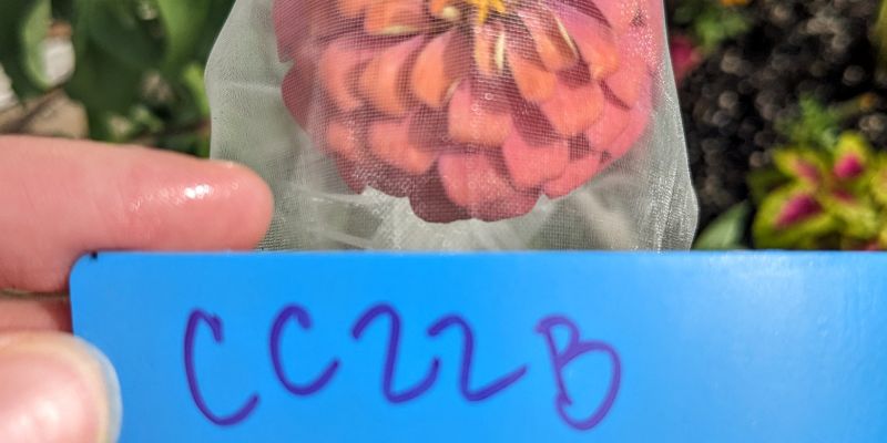 TrackingFlowerCrosses_20230722_201019835